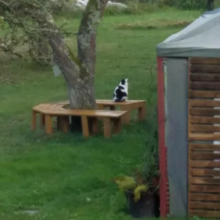 Apartman Sonnenhaus Oppenhausen