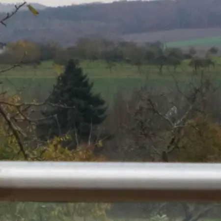 Appartement Sonnenhaus Oppenhausen