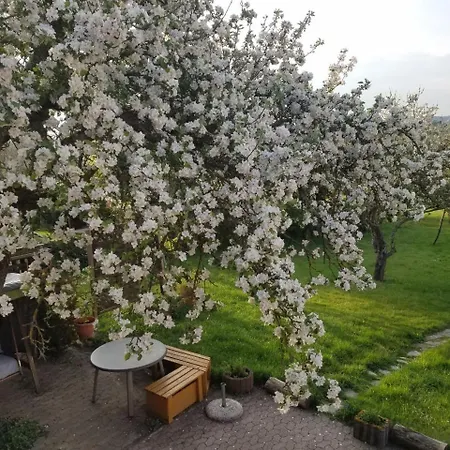 Sonnenhaus Oppenhausen Apartman *