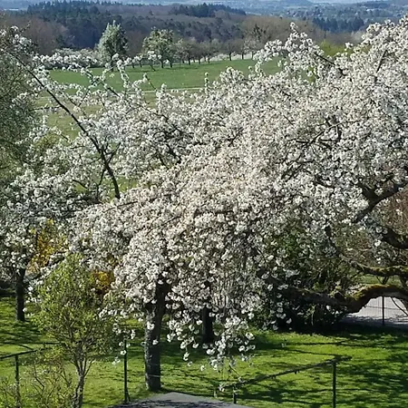 Sonnenhaus Oppenhausen *