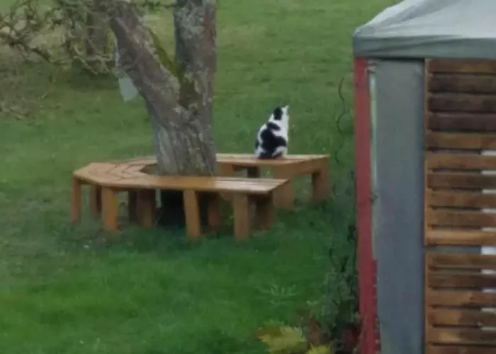 公寓 Sonnenhaus Oppenhausen