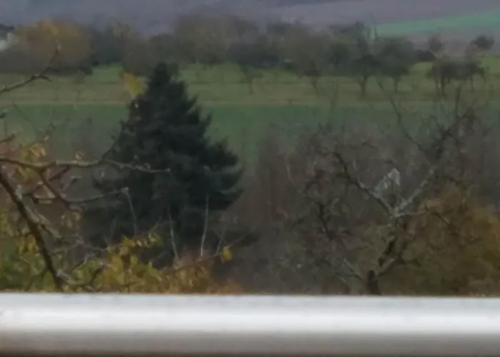 公寓 Sonnenhaus Oppenhausen