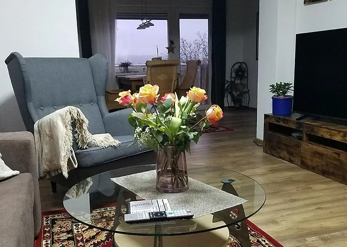 公寓 Sonnenhaus Oppenhausen 博帕德