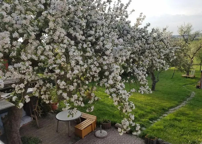 Sonnenhaus Oppenhausen 公寓 *