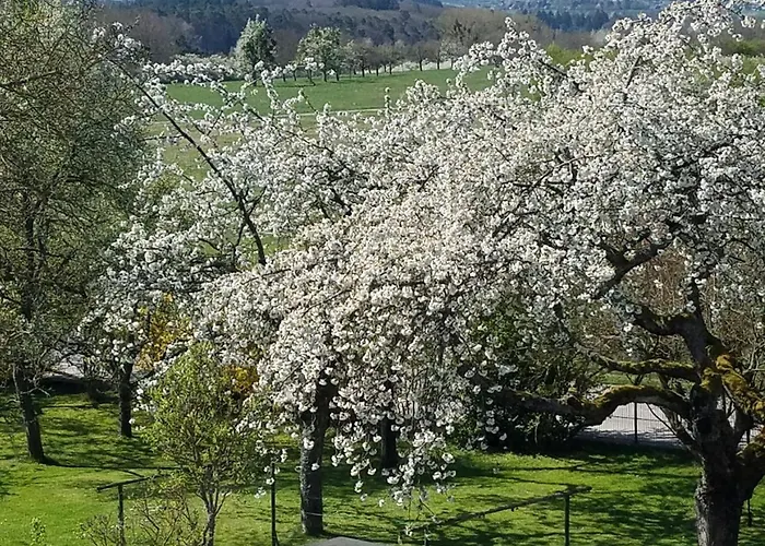 Sonnenhaus Oppenhausen *